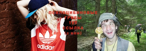 наркотики Алексин