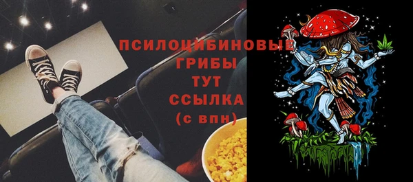 таблы Алзамай